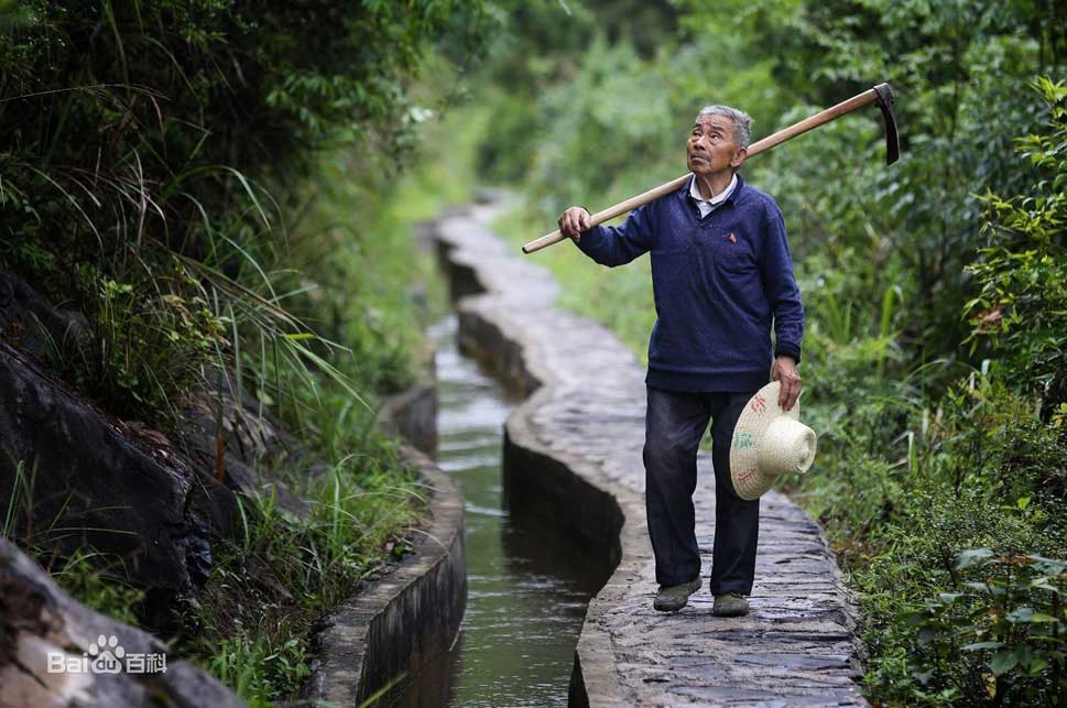 茅台和大发渠(图11)